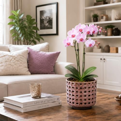 D'vine Dev 6.7 Inch Ceramic Orchid Planter with Lattice Cutout Design, Glazed Cachepot with Clear Nursery Pot & Detachable Saucer for Orchids and Indoor Plants, Dusty Rose, 28-A-Y-6 - color: Dusty Rose, size: 6.7"