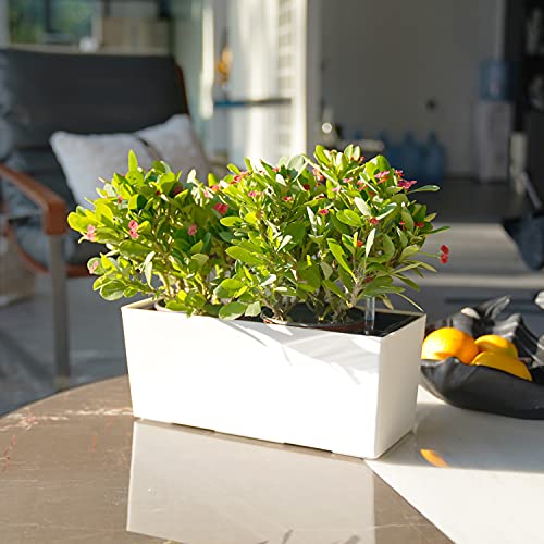 SAROSORA 14" Self Watering Planter Pots with Water Level Indicator, Rectangle Matte Plastic Window Box for Indoor Outdoor, Herbs Succulents Flowers House Plants (White) - color: White