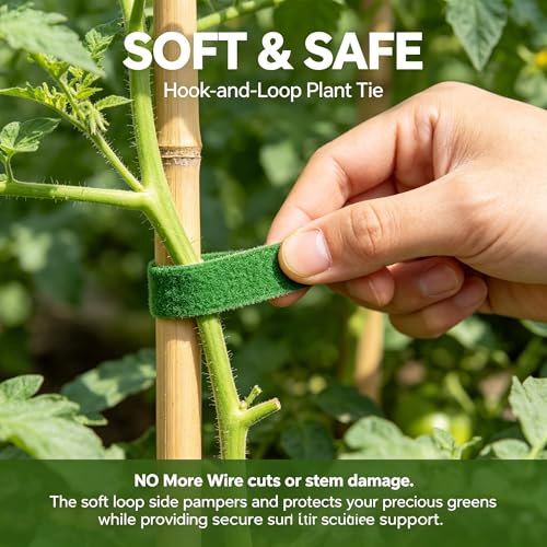 3 Pack Plant Ties Garden Ties for Stakes | Reusable Hook-and-Loop Fastening Tape for Climbing Plants, Cable Organization, Cut-to-Length 16.5ft per Roll, 1/2 in Wide, Green