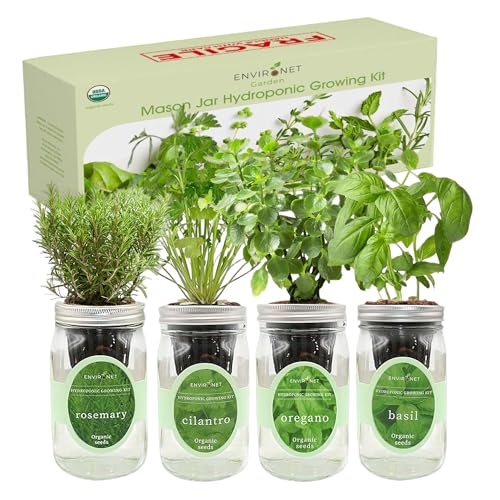Hydroponic Mason Jar Organic Herb Seed Starter Kits - Mediterranean Herb Mix Growing Kits, Windowsill Herb Garden, Gardening Gift (Rosemary, Cilantro, Oregano, Basil) - color: Mediterranean Herb Mix Kits