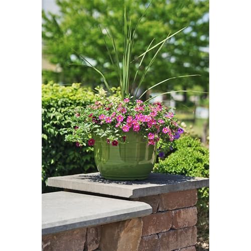 Garden Elements Indoor/Outdoor Glazed Brushed Happy Plastic Planter, Large, Dark Green, 15" - color: Dark Green