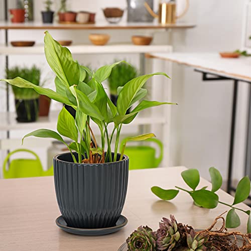 D'vine Dev 2-Pack Stoneware Planter Pots, 4.5/5.8 in, Charcoal Grey, 99-D-3 - color: Gray