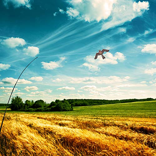 eyijklzo Bird Scarer Hawk Flying Kite with 13ft Telescopic Pole-Red - style: Red-with 4m pole