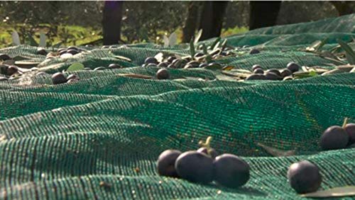 Ez4garden Fruits Harvest Collecting Netting Walnut Olive Chestnut Plum Hazelnut Picking Collector Net,Size:L26.2'xW19.6'(8x6m) - size: L26.2'xW19.6'(8x6m)