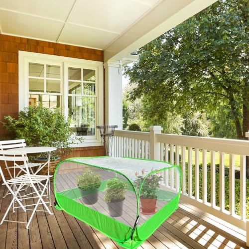 Pop Up Garden Mesh Plant Cover 2Pcs Outdoor Plant Protector Mesh Plant Enclosure Raised Bed Garden Bird and Pest Protection Guard for Fruits Vegetables Seedlings and Herbs - style: 2pcs 40x40x20in without bottom