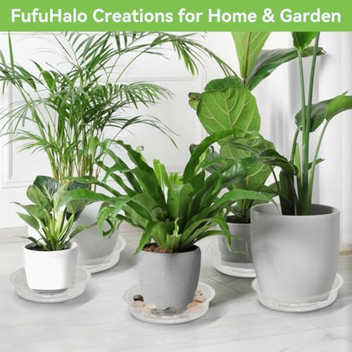 100 Pcs 6 Inch Clear Plant Saucers Bulk, Plastic Plant Saucer - size: 6inch(100 Pack)