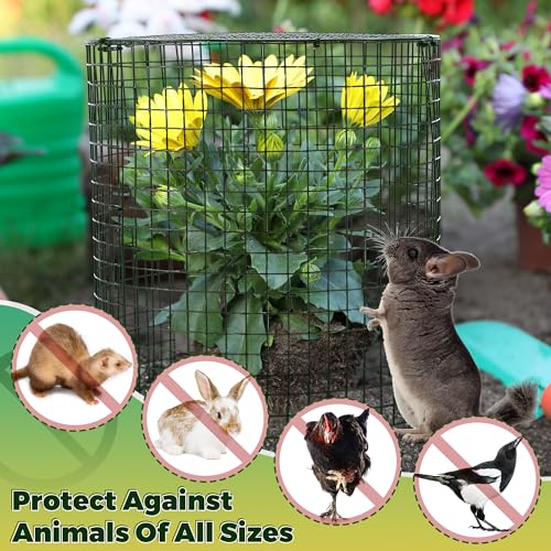 Hiboom 4 Set Garden Plant Protectors from Animals with Stakes, Metal Mesh and Detachable Covers Wire Plant Cage for Keeping Bunny Animals Out, Chicken Wire Cover Garden Protection (15.7x13) - size: 15.7x13"