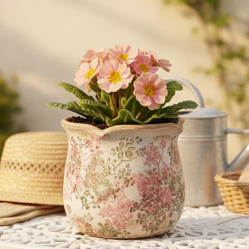 Ceramic Pots for Plants, Pink Colorful Vintage Plant Pot with Drainage Hole - color: Pastel Meadow