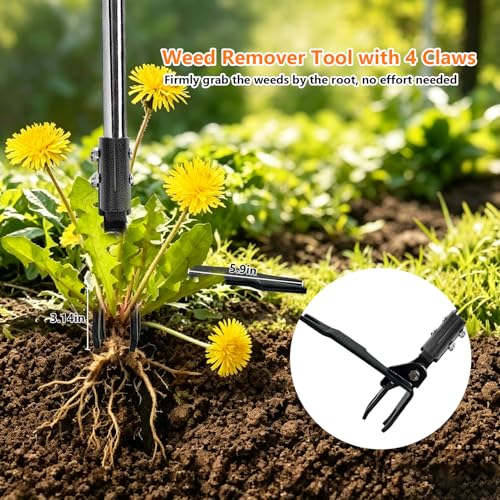 Weed Puller Tool Stand Up Hand Weeder Tool with Adjustable Long Handle, Weed Remover with Steel Head, Remove Weeds Root Easily without Bending, Pulling or Kneeling for Lawn Yard Garden (4 CLAWS)