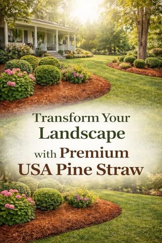 Long Needle Pine Straw Mulch - 100 Sqft Coverage 1 Set - Premium USA Harvested PineStraw for Landscaping, Weed Control, Moisture Retention & Erosion Control - USA Pinestraw - size: Pine Needle Mulch - Covers 100 Sqft 1 set