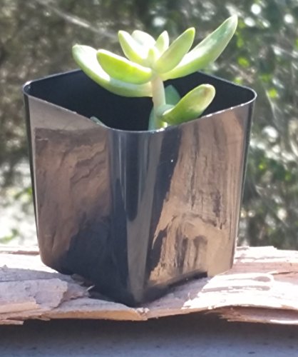 Pack of 2 Inch Plastic Flower Pots for Seedlings, or Succulents (100 Pots, Black) - color: Black, size: 100 Pots