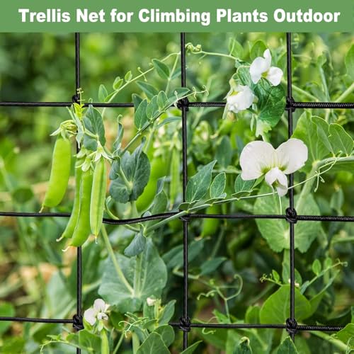 4x4 Ft Heavy Duty Elastic Trellis Netting for Climbing Plants - 2-Pack Plant Support Net with 4 Hooks, Durable Polyester Mesh for Grow Tents, Vegetables, Fruits & Flowers (Black) - size: 4x4ft Stretched size-3mm d