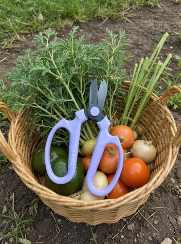 Garden Pruning Shears Scissors Carbon Steel Blades 6.7 In, Snapdragon - Lavender - style: 6.7 inch Lavender