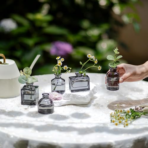 Glasseam Small Vases for Flowers, Mini Smoke Gray Glass Bud Vases Set of 5 - color: Gray, size: 5Pcs- Mini Vases