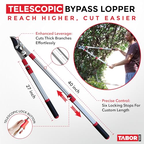 TABOR TOOLS GG21A Extendable Bypass Lopper with Compound Action, 27-40 Inch Telescopic Tree Trimmer & Branch Cutter, Long Reach Tree Pruner with 1 1/2 Inch Cut Capacity, Makes Clean Neat Cuts - style: GG21A 27"-40" Extendable Bypass Lopper with lever