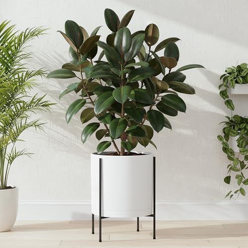 D'vine Dev Plastic Planter Pot with Metal Stand, White, 14 in, 55-D-A-4 - color: White, size: 14 Inch