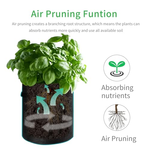 JJGoo 4 Pack Potato Grow Bags 10 Gallon with Flap, Heavy Duty Fabric Grow Bags with Handle and Harvest Window, Non-Woven Planter Pot Plant Garden Bags to Grow Vegetables Potato Tomato, Grey - color: Gray 10 Gallon, size: 4 Pack with Window