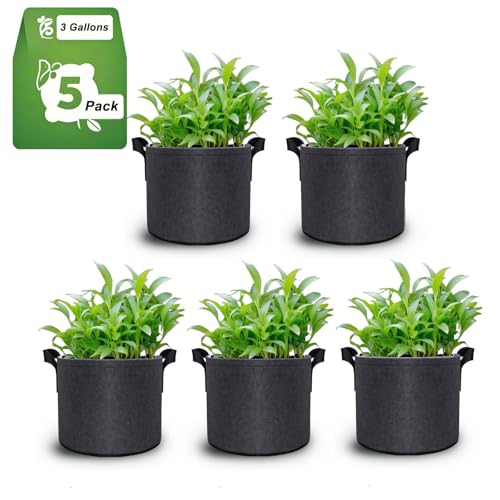 3 Gallon Grow Bags Set of 5,Thickened 300G Non-Woven Fabric Pots for Plants Outdoor - Reinforced Handles, Tear-Resistant Planter Pots Black Pot for Vegetables, Flowers, Gardening Supplies - size: 3 Gallons