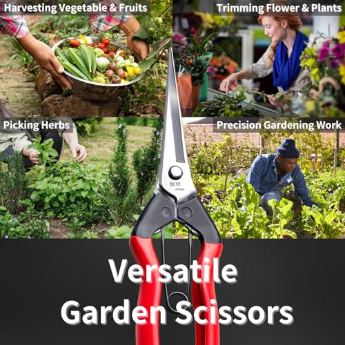 Japanese Garden Shears Long Blade 7.9" for Plants - Needle Nose Pruners with Pointed Tips - Sharp Japanese Stainless Steel Blade & Spring Loaded Handle - Made in Japan - style: Trimming (Long Blade)