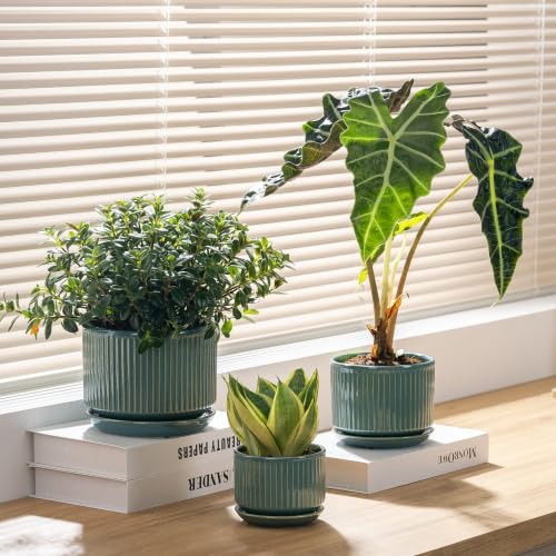 SURE YUESI Ceramic Plant Flower Pots for Indoor Plant, 4.33"+5.5"+6.88", Set of 3, Orchid Pot with Drainage Hole, Saucer and Hole Mesh Pad for Succulents, Herbs and African Violet (Light Blue) - color: Light Blue
