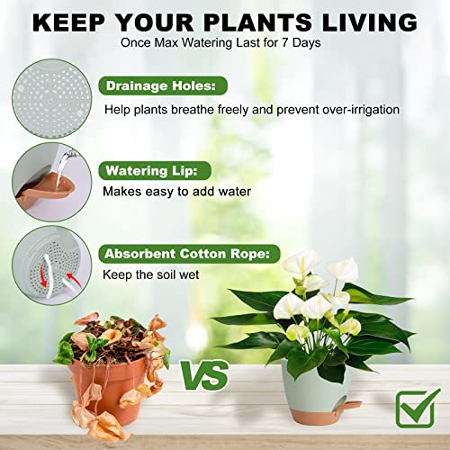 7/6.5/6/5.5/5 Inch Self Watering Pots for Indoor/Outdoor Plants, 5 Pack - color: Green-5pack, size: 7/6.5/6/5.5/5 inch