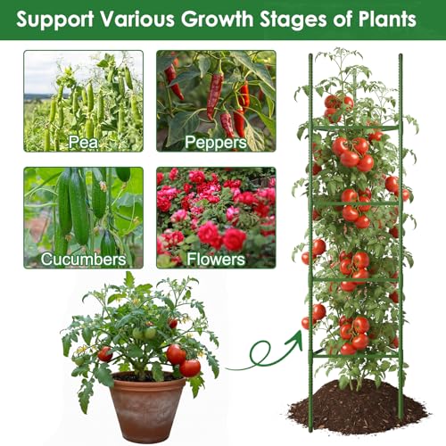 CEWOR 6 Pack Extra Tall Tomato Cage, 63 Inch Adjustable Tomato Trellis | Large Tomato Cages for Garden, Plant Cages Structure Triangle Stakes for Raised Garden Bed, Climbing Plants Outdoor - size: 63 Inch