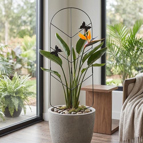 2 Pack 30'' Metal Plant Trellis for Climbing Plants Indoor Outdoor