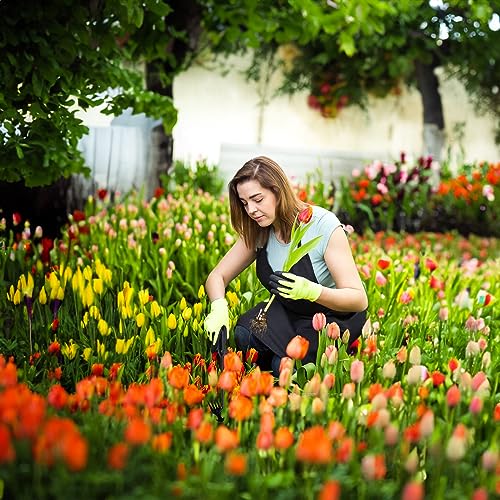 Weed Puller Tool Garden Weed Pulling Tool, Portable Garden Weeder Tool