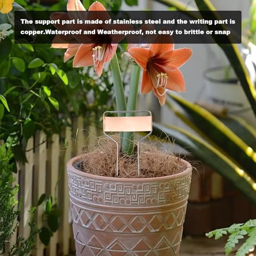 25Pcs 6 Inch Metal Plant Label Stakes with 1 Permanent Pen, Copper Metal Plant Labels Garden Plant Tags, for Flower Fruit Seedlings and Vegetable