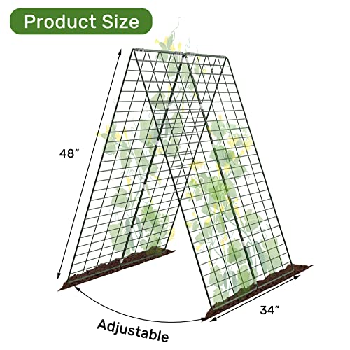 AGTEK 34" x 48" Foldable Metal Cucumber Trellis, for Climbing Plants, Cucumber, Vegetable, Flowers - size: 34"W x 48"H