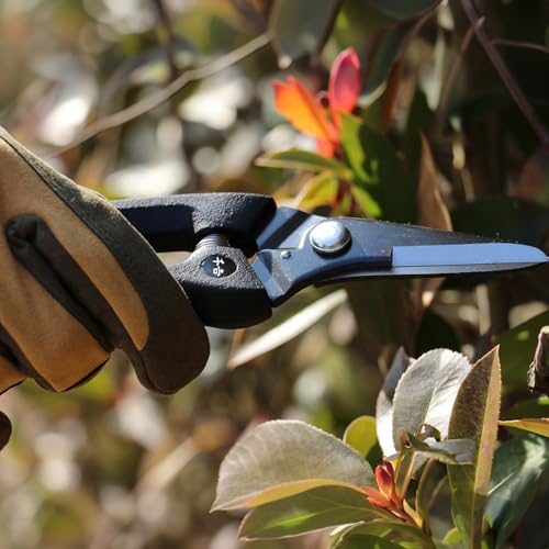 Senkichi Pruning Shears 190mm/7.5", Shock-Absorbing Grip - Japanese Pruner - size: 190mm (7.5")