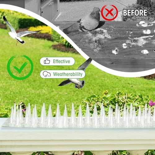 Zipcase 49.5 ft Transparent PVC Bird Spikes, Dual-Length Spikes, 36 Pack