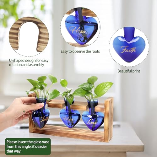 Plant Terrarium Propagation Stations Hydroponics - color: Blue(Faith Hope Love)