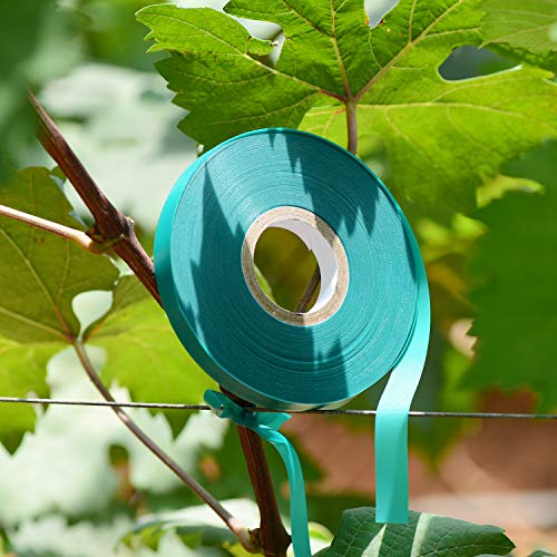 TELENT OUTDOORS 10 Pcs 150 Feet x 1/2" Wide Stretch Tie Tape Green Plant Garden Tie, Garden Vinyl Stake for Branches, Climbing Planters, Flowers - size: 1500FT