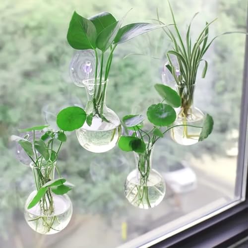 4 PCS Gourd Shaped Hanging Glass Planter, Wall Mounted Water Plant Propagation Vase, Transparent Hydroponic Plant Tube for Ivy, Pothos & Greenery Decor - color: Lucency