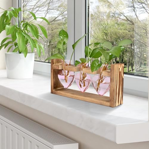 Plant Terrarium Propagation Stations Hydroponics - color: Pink