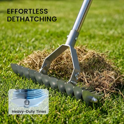 Thatch Rake Replacement Head, 2-in-1 Dual-Sided Dethatching Rake Head for Lawns, Heavy Duty Anti-Bending Tines, Wobble-Free Turf Grass Remover Tool - size: 13.8inch