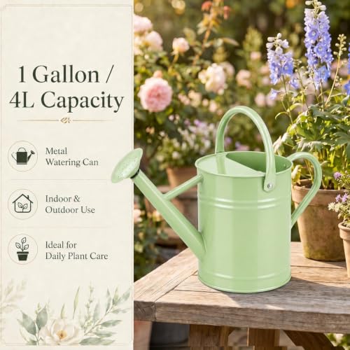 1 Gallon Metal Watering Can for Indoor Outdoor Plants, Pistachio Green - color: Pistachio Green