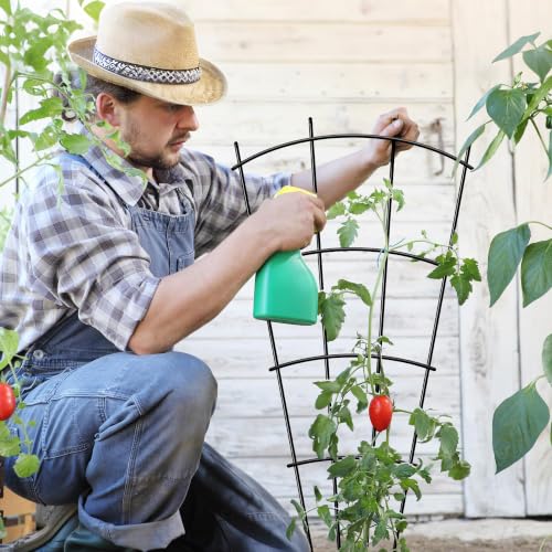 Thealyn 32" Metal Plant Trellis, Climbing Plant Support, 8 Pack (Black) - color: Black, size: 32 inch-8 Pack