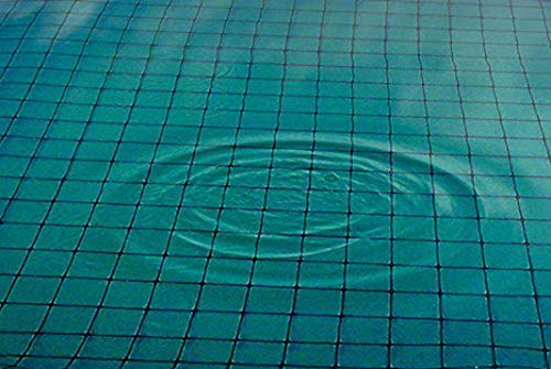 DeWitt Bird and Pond Netting 28X28 Black