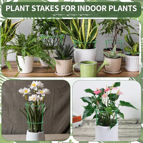 12 Pack Plant Support Stakes Sets - Versatile Plant Cages, Stackable Garden Flower Support, Small Plant Stakes for Indoor Plants,Tomato,Monstera, Peony, Hydrangea, Climbing Plants - size: 6.3*9.8IN(pack of 12)