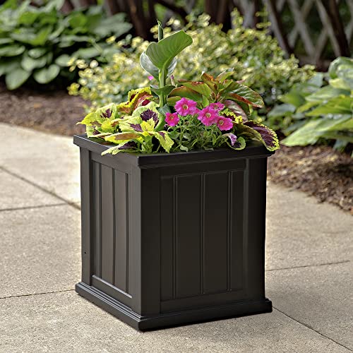Mayne Cape Cod 16in Self-Watering Square Planter, Black - color: Black, size: 16in