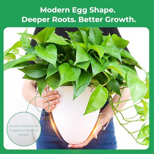 Self-Watering Hanging Planter Pot, Indoor Outdoor Plants, 6 Inch, 3 Pack
