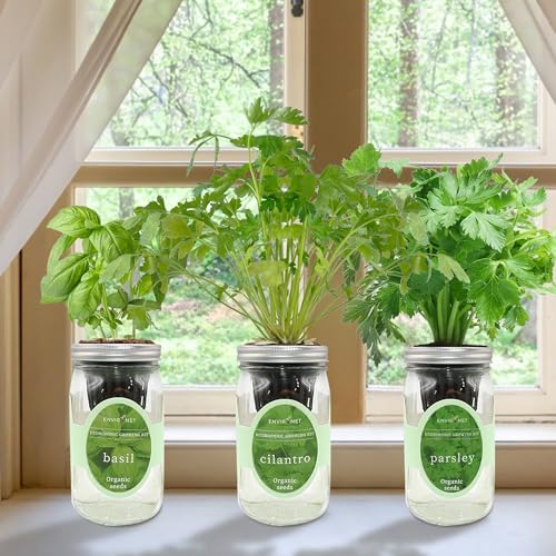 Hydroponic Herb Growing Kit Set, Self-Watering Mason Jar Herb Garden Starter Kit Indoor, Windowsill Herbs Garden, Grow Your Own Herbs from Organic Seeds (Basil, Cilantro and Parsley) - color: Basil, Cilantro & Parsley