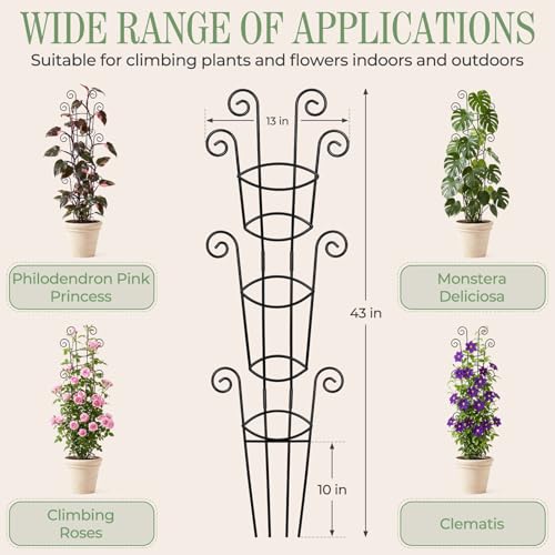 4 Pack 43 Inch Metal Plant Trellis for Climbing Plants - Rustproof Garden Trellis for Large Potted Houseplants, Sturdy Plant Support Indoor Outdoor for Monstera & Vines, Home Decor - size: 43" | Stage for Mature Vines