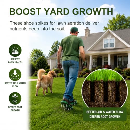 Lawn Aerator Shoes with Spikes and Adjustable Straps, Black - color: Black