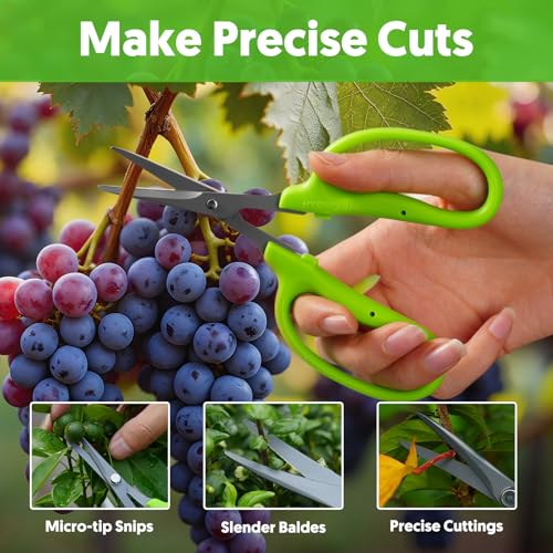 Garden Scissors, 2 PCS, 6-in, Non-Stick Coated Steel, Straight Blades - style: Straight Blade
