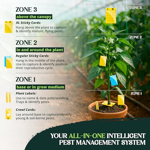 Catchmaster GRO Yellow Regular Double Sided Sticky Traps 72PK, Adhesive Bug & Fruit Fly Trap, Pest Control for Home, Farm, Garden, Hydroponics & Greenhouse, Protect Live Plants Indoor & Outdoor - size: 72 Pack - Yellow
