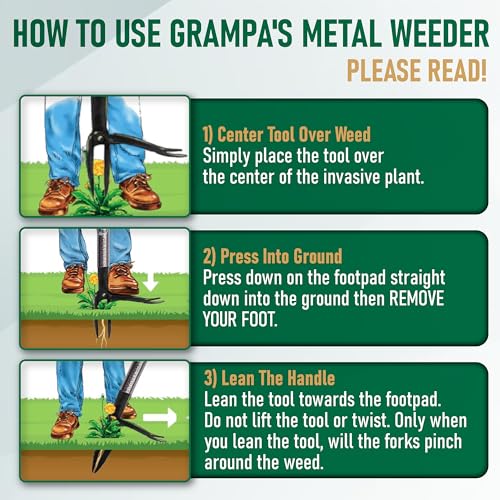 Grampa's Weeder Stand Up Weed Puller Tool with Heavy-Duty Steel Long Handle - color: Green