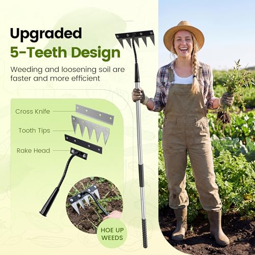 Iron Weeding Rake with Long Handle, Manual Weeder Tool for Garden